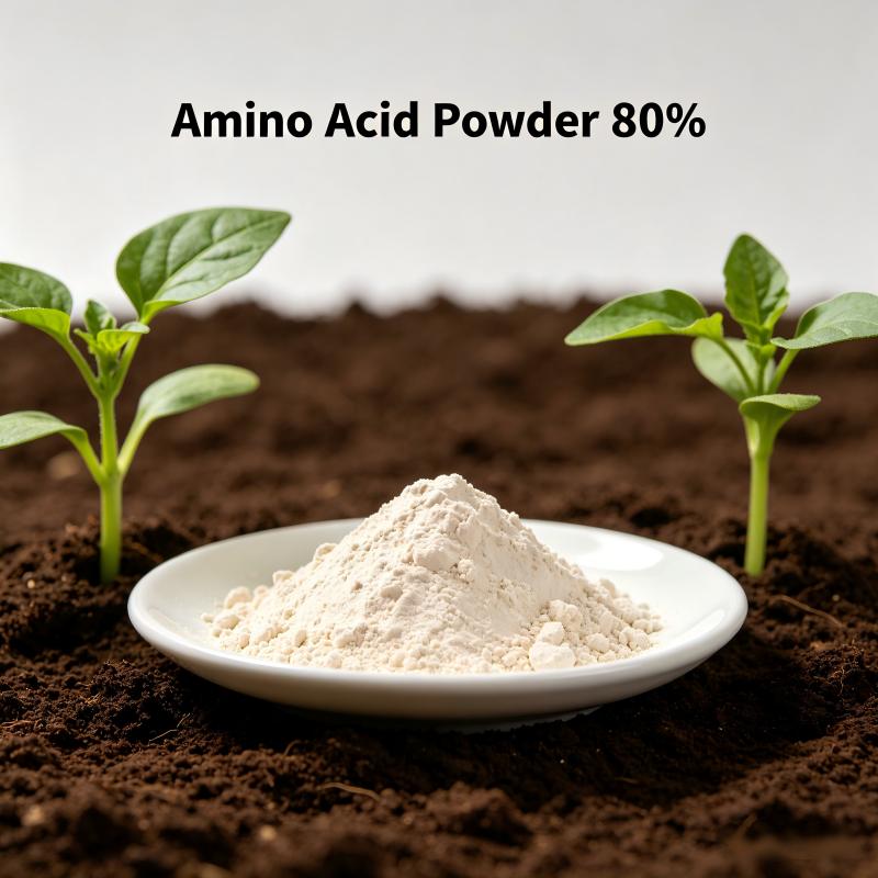 Amino Acid Powder 80% Sulfuric