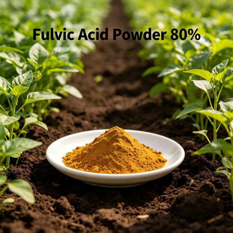 Buy Fulvic Acid Powder 80% – high solubility organic biostimulant. Improves nutrient uptake, soil structure, and crop stress tolerance.